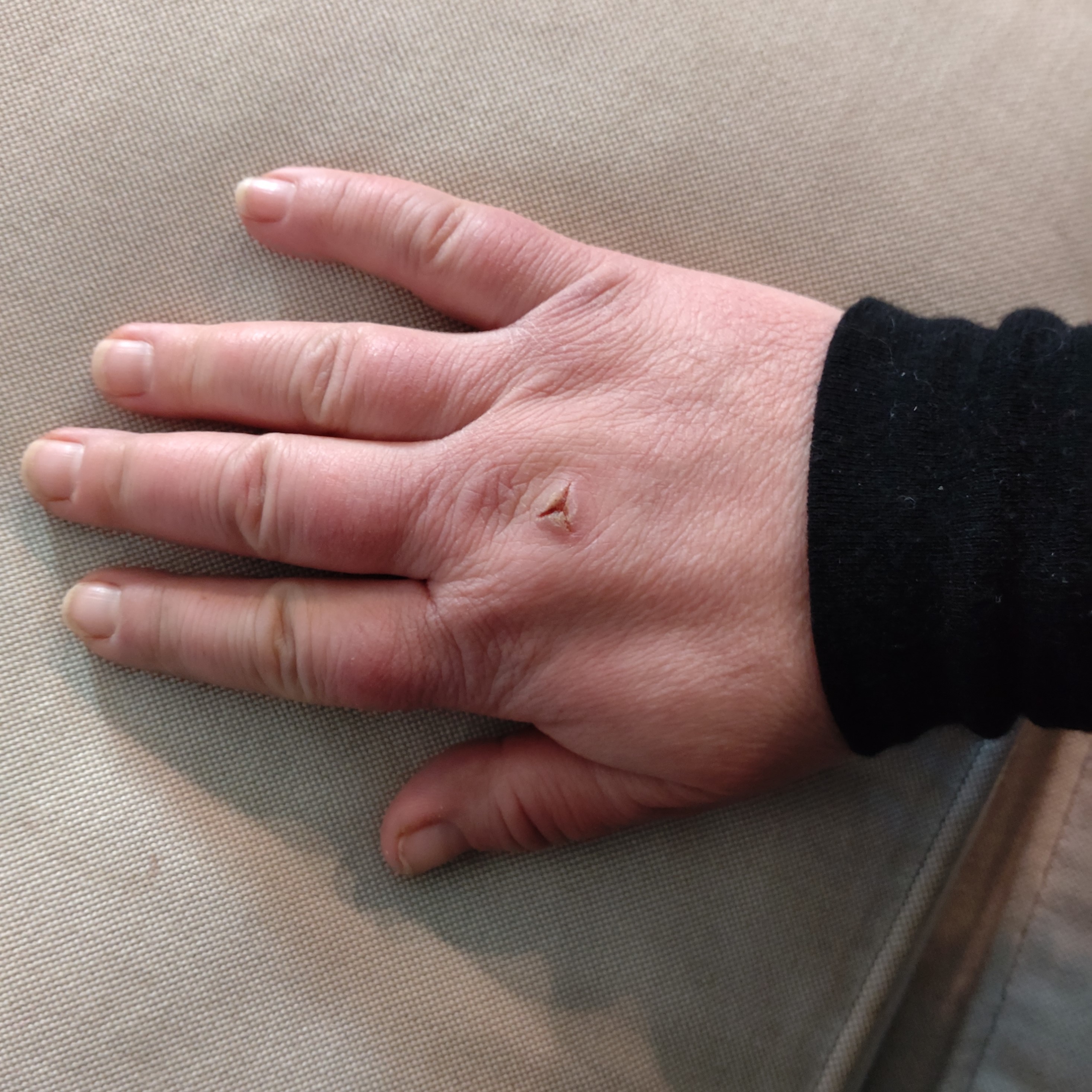 vanhempi rystyshaava